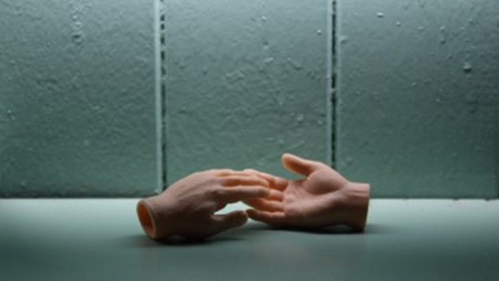 A pair of model hands