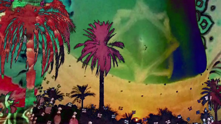 A composite image depicts palm trees against a patterned background